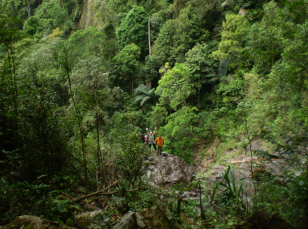 Gunung Jerai Forest Reserve is vital to the eco-system in surrounding area. It provides "green area" to absorb industrial by-product such as carbon monoxide.